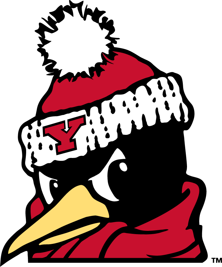 Youngstown State Penguins 2018-Pres Secondary Logo v6 diy iron on heat transfer
